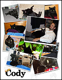 Cody the Cat Photo Collage
