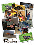Rufus the Dog Photo Collage