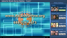VGallery - Asians for Miracle Marrow Matches