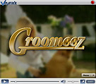 VPlayer 2.0 - Groomees